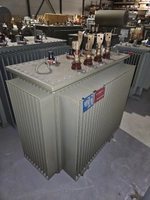 0202073 / 630kVA